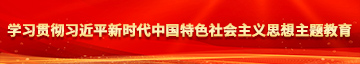 女人屄操4K学习贯彻习近平新时代中国特色社会主义思想主题教育